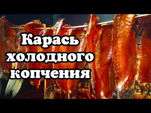 Видео: 🛑карась холодного копчения. Копчение рыбы