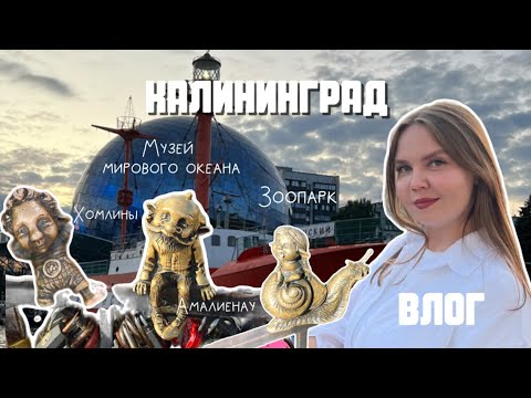 Видео: Влог из Калининграда: Зоопарк, Амалиенау, Музей Мирового Океана, где вкусно поесть