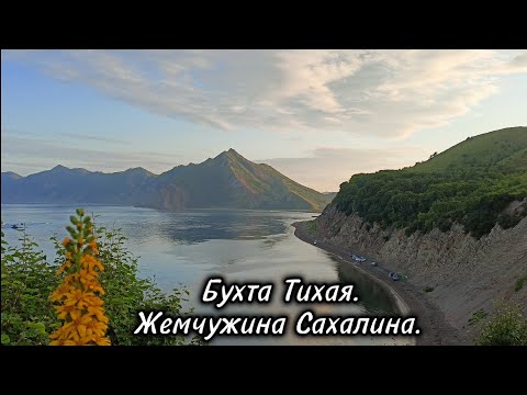 Видео: Бухта Тихая. Жемчужина Сахалина.