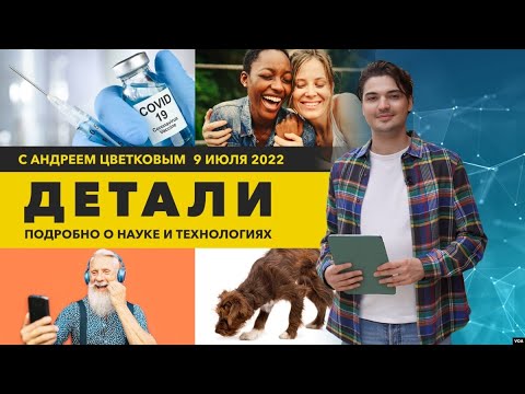 Видео: Почему друзья пахнут одинаково и зачем в США изобрели роботизированных насекомых | «Детали»