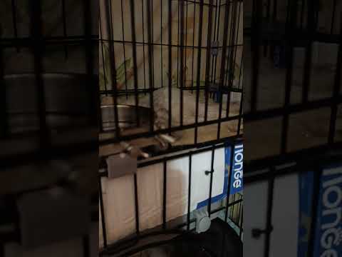 Видео: КНОПА УШЛА💔💔💔💔💔💔