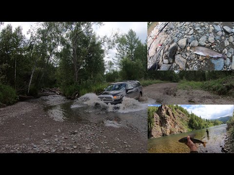 Видео: С ДРУЗЬЯМИ В ТАЙГУ ХАКАСИИ, СИБИРЬ!!! ПРОЗРАЧНАЯ ГОРНАЯ РЕКА! ХАРИУС, ЛЕНОК.