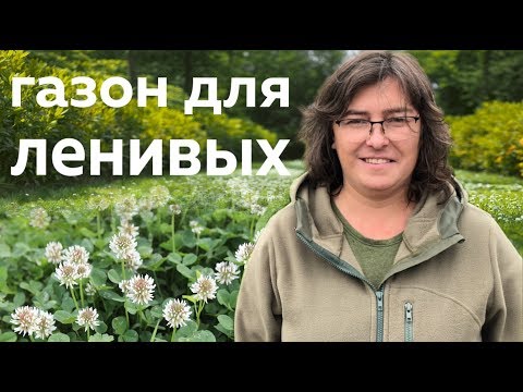 Видео: Газон для ленивых.