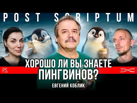 Видео: Пингвины не то, чем они кажутся | Постскриптум