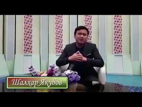 Видео: Тәуелібайлық өнерпаздар