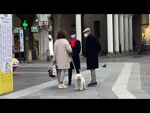 Видео: как одеваются бабушки в ИТАЛИИ