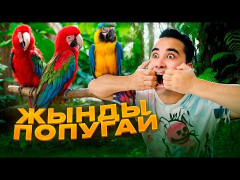 Видео: АПКЕШКА И БРАТИШКА / 41-сезон / ЖЫНДЫ ПОПУГАЙ😂
