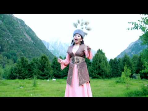 Видео: Гулназ Бекбосун кызы - Сезим ыры