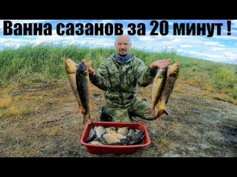Видео: Кастинговая сеть американского типа  + эхолот и ванна сазанов за 20 минут ЁКЛМН Вот это рыбалка 2022