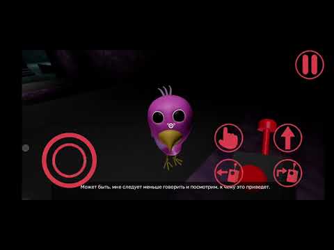 Видео: 15 октября 2025 г.