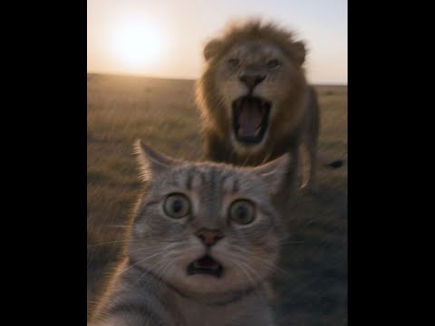Видео: 😺 Хьюстон, у нас проблемы! 🐕  Смешное видео  с собаками, кошками и котятами! 🐱