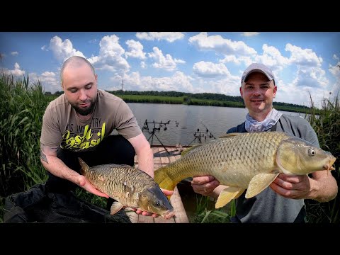 Видео: Ловля Карпа и Сазана на макуху. Сильнейшие места!