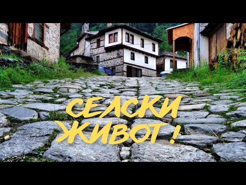 Видео: Защо се Преместих да Живея на Село?