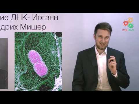 Видео: Введение. История молекулярной биологии (без музыки)