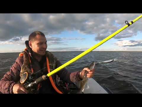 Видео: ВСЕ ГОВОРИЛИ КЛЕВА НЕ БУДЕТ А МЫ НАПОРОЛИ СУДАКОВ/ РЫБАЛКА ТРОЛЛИНГ НА БЕЛОМ ОЗЕРЕ
