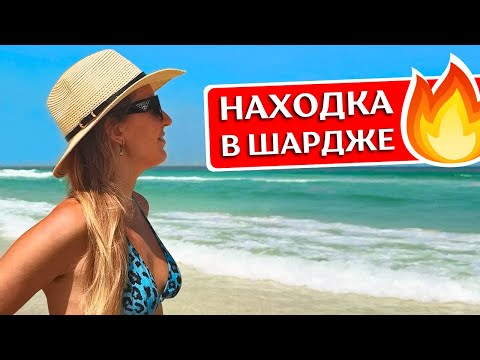 Видео: ШАРДЖА: отдых в NOVOTEL Sharjah Expo Centre 4* - обзор отеля в ОАЭ