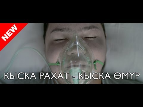 Видео: Короткое удовольствие - короткая жизнь