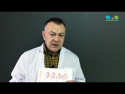Видео: Педиатр Плюс - Гидронефроз