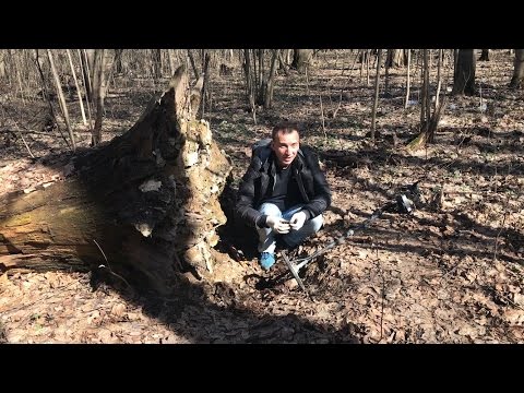 Видео: Находка под корнем 100-летнего дерева!
