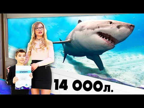 Видео: 600 волта НАЙ-OПАСНИТЕ РИБИ в СВЕТА!!! Природонаучния музей в Пловдив!