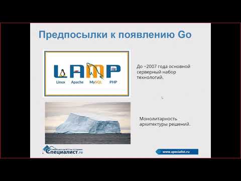 Видео: Путь Go-разработчика