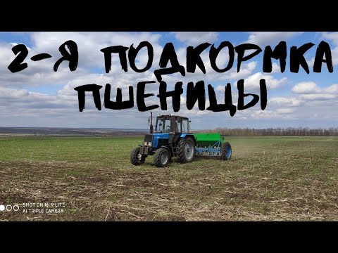 Видео: Подкормка пшеницы по корню сеялкой СЗ 3.6