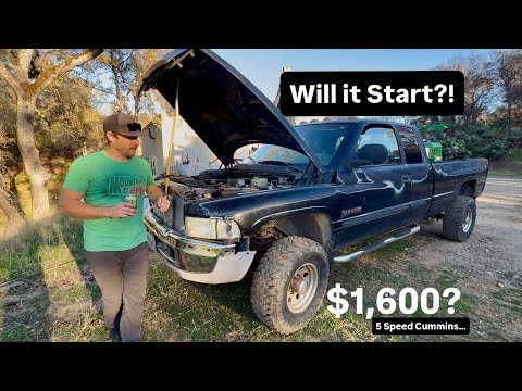 Видео: Куплю самый дешёвый второй Cummins на рынке. Простоял 3 года!