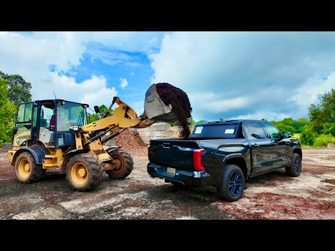 Видео: ЛАНДШАФТ за 1 день — ДО и ПОСЛЕ. Маленькие детали, большой эффект