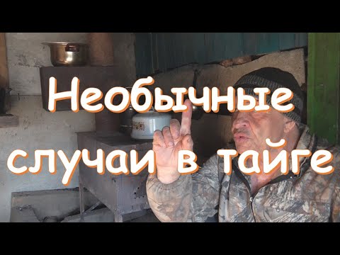 Видео: Необычные случаи в тайге