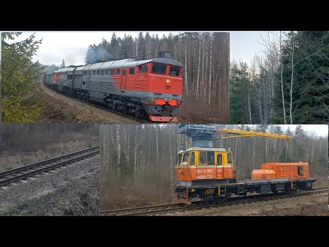 Видео: Одним весенним утром, на перегоне Красный Сокол–Боровинка.