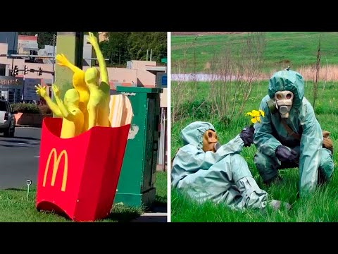 Видео: Не пытайтесь уловить здесь здравый смысл