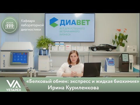 Видео: Кафедра Лабораторной диагностики «Белковый обмен: экспресс и жидкая биохимия»