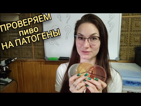Видео: Открытие собственной лаборатории. Проверка диких дрожжей на микробиологическую чистоту.