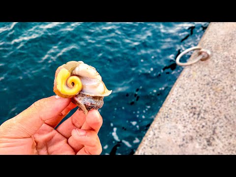 Видео: Ротф Рыбалка, жареная рыба Тако