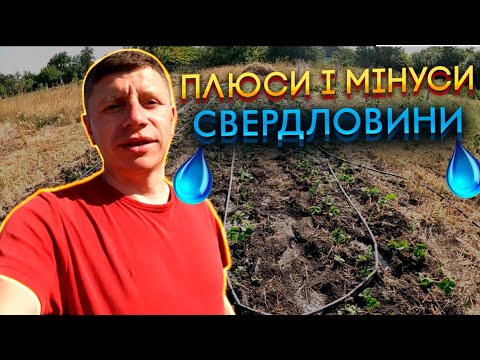 Видео: Плюси і мінуси свердловини💧 Лайфхак для крапельного поливу. Полив полуниці і малини.