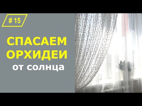 Видео: # 15 Самый простой и эстетичный способ притенения домашних орхидей от солнца  #УходЗаОрхидеями