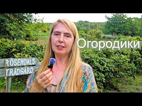 Видео: Шведские огородики, садовоая школа и биосад.