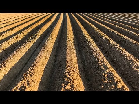 Видео: Удобный способ нарезания борозд лёгким мотокультиватором/Тонкости