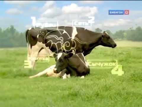 Видео: История заставок (Бибигон, 01.09.2007-27.12.2010)