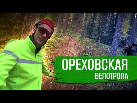 Видео: ОРЕХОВСКАЯ ВЕЛОТРОПА | ВЕЛОБЛОГ | ГУЛЯЙНЕН (2021)