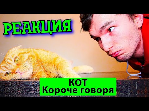 Видео: РЕБОРН СМОТРИТ ► КОРОЧЕ ГОВОРЯ, КОТ ► РЕАКЦИЯ НА ТИМ ТИМ