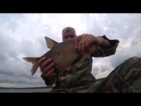 Видео: как найти и поймать леща на незнакомом водоёме