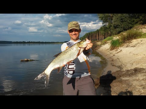 Видео: Ловля жереха на кастмастер, или жерех рыба моей мечты!