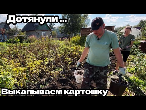Видео: ВЫКОПКА КАРТОШКИ: РЕЗУЛЬТАТ ПРЕВЗОШЕЛ ОЖИДАНИЯ?/ВОТ ЧТО ПОЛУЧАЕТСЯ КОГДА НЕ ЗНАЕШЬ, ЧТО ПОД ЗЕМЛЕЙ… 