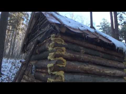 Видео: На таежной избушке, осень в разгаре