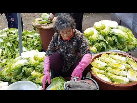 Видео: Как приготовить вкусное кимчи, мукбанг из свинины, корейское кимчи, мукбанг