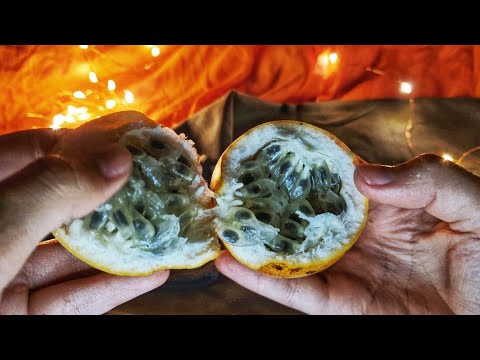 Видео: АСМР/ ASMR  какие бывают фрукты / Тихий Голос