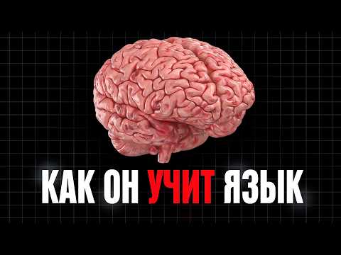 Видео: ПОЙМИ Как МОЗГ Учит языки, прежде чем учить английский