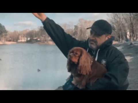 Видео: Bure - Белый Лебедь 74