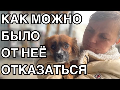 Видео: Спасение животных/Даже после предательства мы верили, что ей повезёт